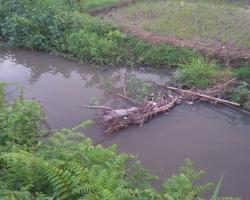 Jaga sungai mu maka subur sawah mu