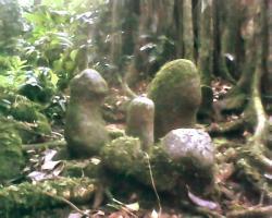 SITUS BANDINGAN KEC.KARANG JAMBU P