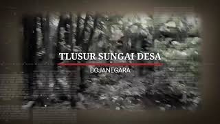 Tlusur Sungai Desa Bojanegara