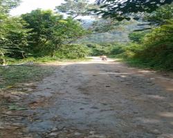 MASYARAKAT DESA CIDIKIT KELUHKAN A