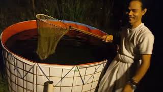 Nyerok Lele Di Saungnya Calon Kades Baleraksa