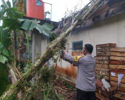 HUJAN DERAS DISERTAI ANGIN DI BOJO