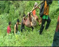 WARGA JINGKANG DITEMUKAN SUDAH MEN
