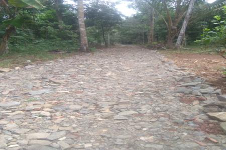 Desa Montor Diduga tidak Transparan Da