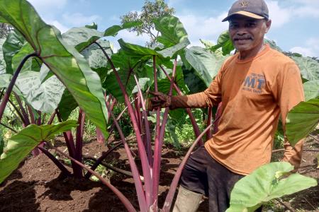 SMP NEGERI 4 KUTASARI MELAKUKAN PENANA