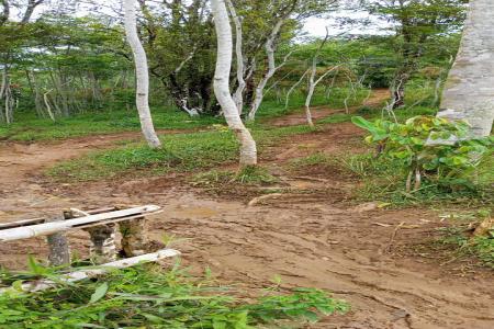 TAMBANG ILEGAL DI PASIR CILONDOK C