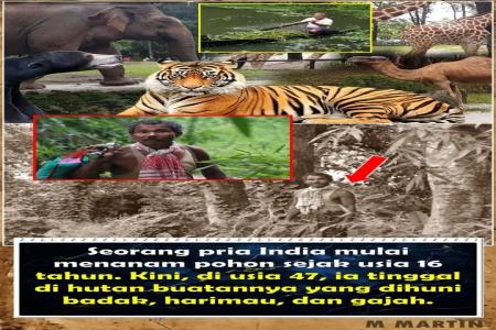 Dari Tangan Pria India Tercipta Hutan 