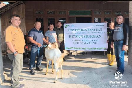 PERHUTANI SALURKAN BANTUAN TJSL HEWAN QURBAN KEPADA MASYARAKAT SEKITAR
