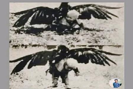 Disambar dari Langit Kisah Nyata yang 