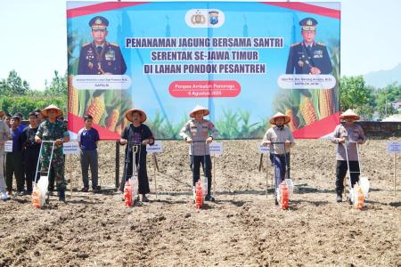 PROGRAM PENANAMAN JAGUNG BERSAMA S